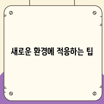 캐나다 소량 해외 이사 준비 완벽 가이드