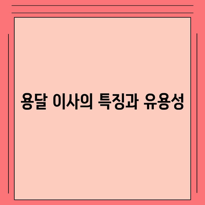 창원 포장 이사 전문 이삿짐 센터 | 용달 이사, 원룸 이사, 반포장이사