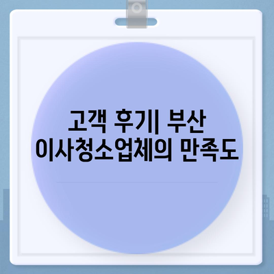 부산 이사청소업체의 꼼꼼한 청소