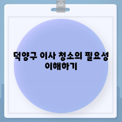 성실한 덕양구 이사 청소 업체