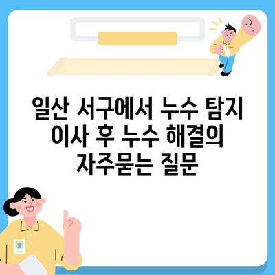 일산 서구에서 누수 탐지 이사 후 누수 해결