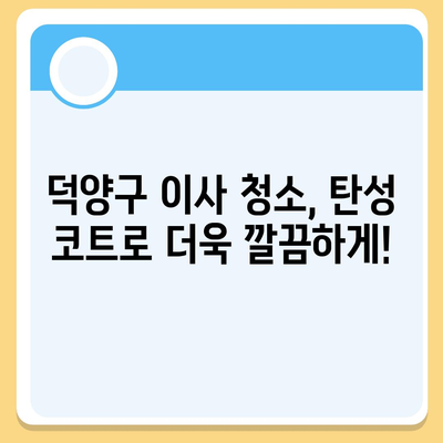 덕양구 이사 청소의 전문적 탄성 코트 시공