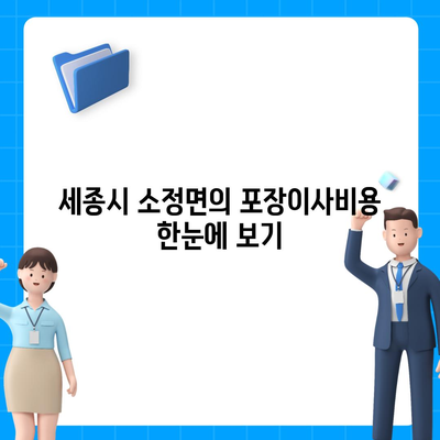 세종시 세종특별자치시 소정면 포장이사비용 | 견적 | 원룸 | 투룸 | 1톤트럭 | 비교 | 월세 | 아파트 | 2024 후기