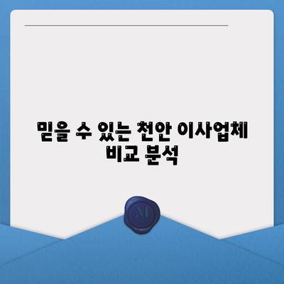 천안 포장 이사업체, 다양한 옵션 고려