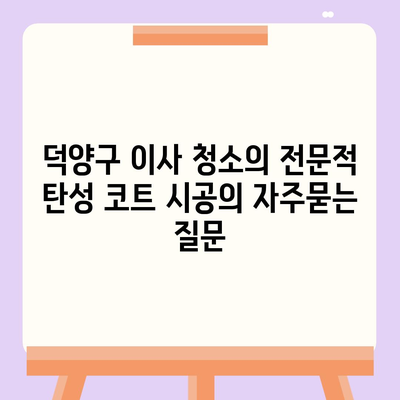 덕양구 이사 청소의 전문적 탄성 코트 시공