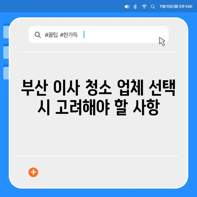 최고의 서비스를 제공하는 부산 이사 청소 업체