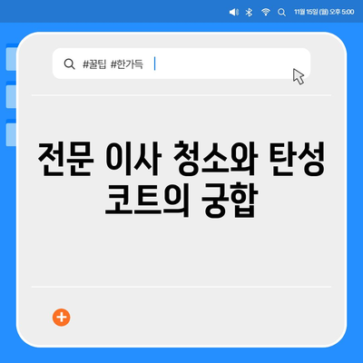 덕양구 이사 청소의 전문적 탄성 코트 시공