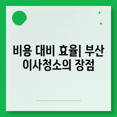 부산 이사청소업체의 꼼꼼한 청소