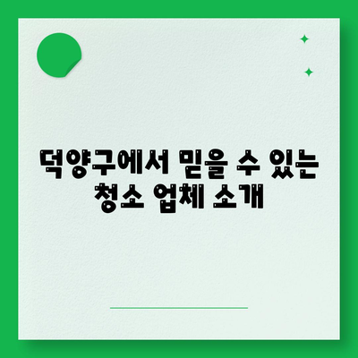 성실한 덕양구 이사 청소 업체