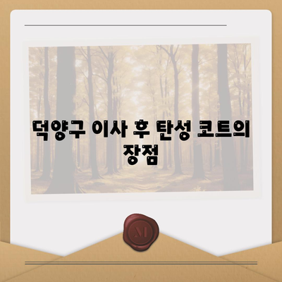 덕양구 이사 청소 업체에서 탄성 코트 시공