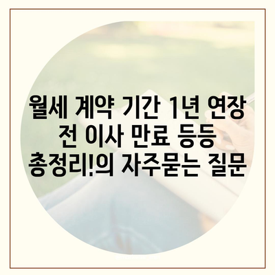 월세 계약 기간 1년 연장 전 이사 만료 등등 총정리!