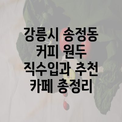 강릉시 송정동 커피 원두 직수입과 추천 카페 총정리