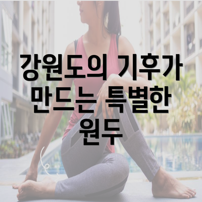 강원도의 기후가 만드는 특별한 원두