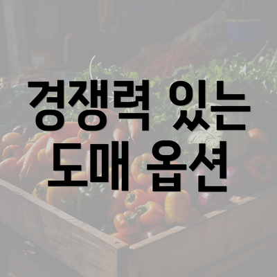 경쟁력 있는 도매 옵션