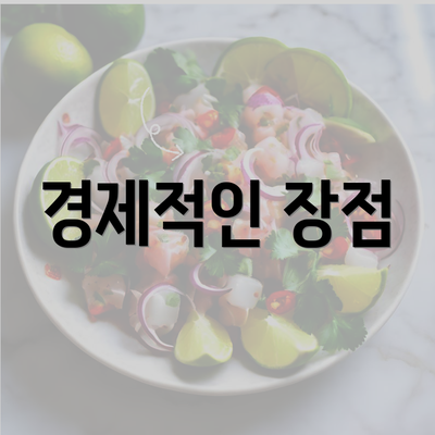 경제적인 장점