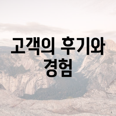 고객의 후기와 경험