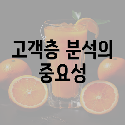 고객층 분석의 중요성