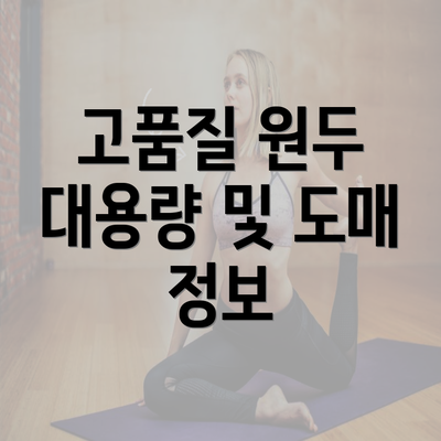 고품질 원두 대용량 및 도매 정보