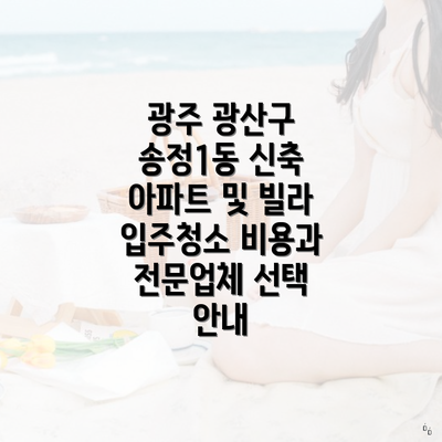 광주 광산구 송정1동 신축 아파트 및 빌라 입주청소 비용과 전문업체 선택 안내