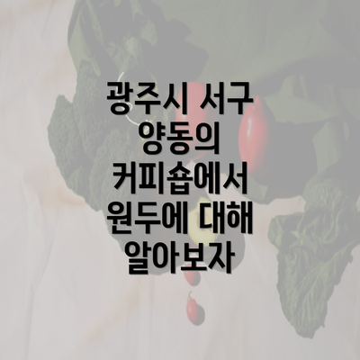 광주시 서구 양동의 커피숍에서 원두에 대해 알아보자