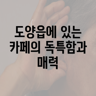 도양읍에 있는 카페의 독특함과 매력