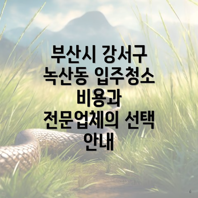 부산시 강서구 녹산동 입주청소 비용과 전문업체의 선택 안내