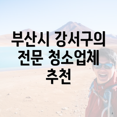 부산시 강서구의 전문 청소업체 추천