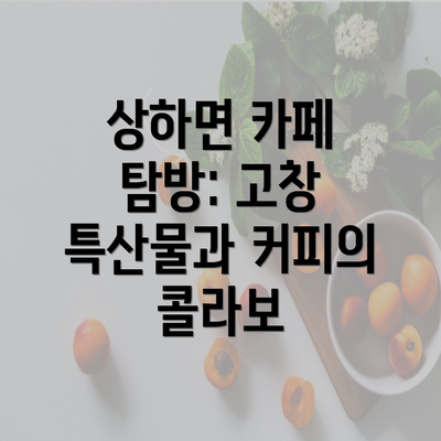 상하면 카페 탐방: 고창 특산물과 커피의 콜라보