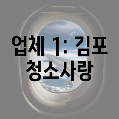 업체 1: 김포 청소사랑