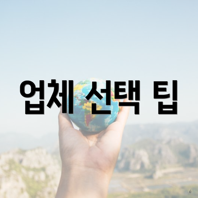 업체 선택 팁