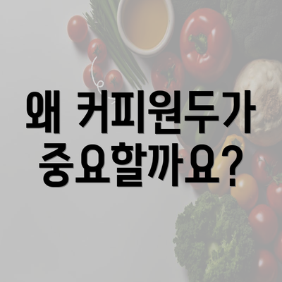 왜 커피원두가 중요할까요?