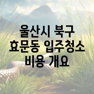 울산시 북구 효문동 입주청소 비용 개요