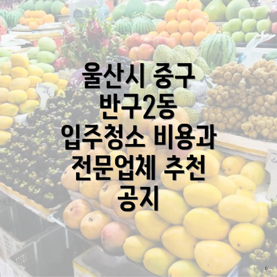 울산시 중구 반구2동 입주청소 비용과 전문업체 추천 공지