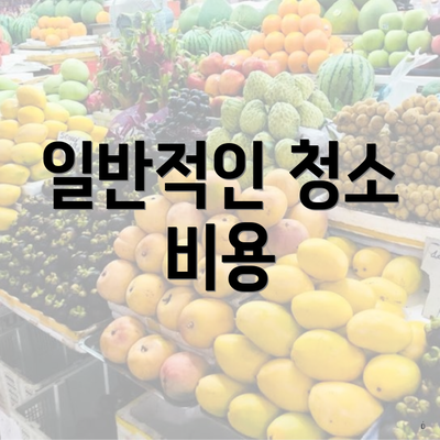 일반적인 청소 비용