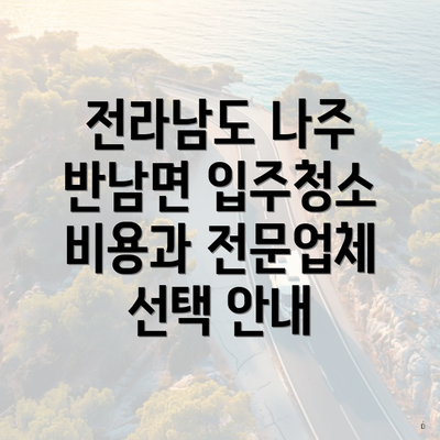 전라남도 나주 반남면 입주청소 비용과 전문업체 선택 안내