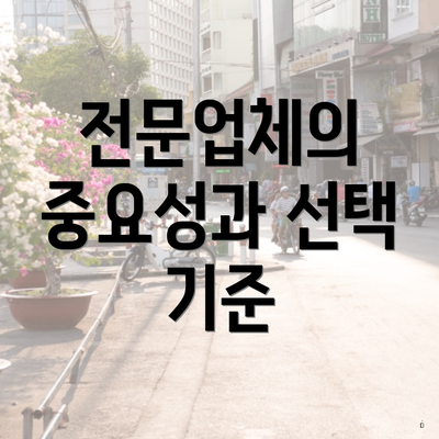 전문업체의 중요성과 선택 기준