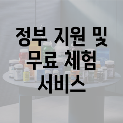 정부 지원 및 무료 체험 서비스