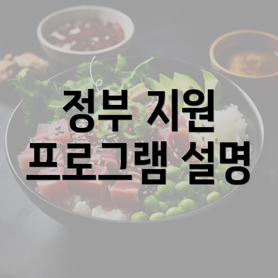 정부 지원 프로그램 설명