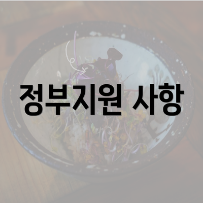 정부지원 사항