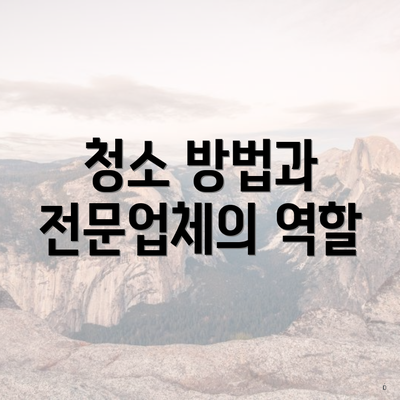 청소 방법과 전문업체의 역할