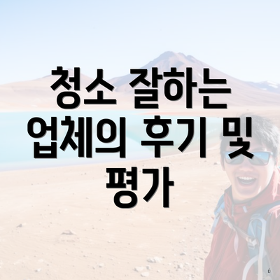 청소 잘하는 업체의 후기 및 평가