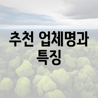 추천 업체명과 특징