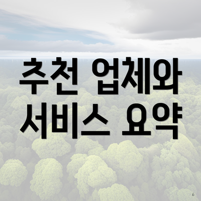 추천 업체와 서비스 요약