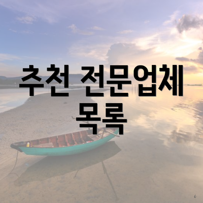 추천 전문업체 목록