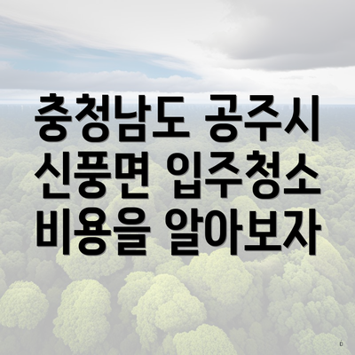 충청남도 공주시 신풍면 입주청소 비용을 알아보자