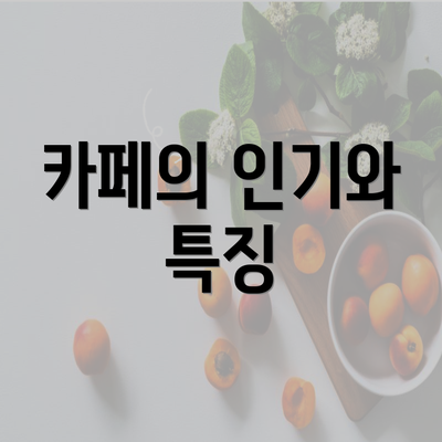 카페의 인기와 특징