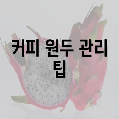 커피 원두 관리 팁