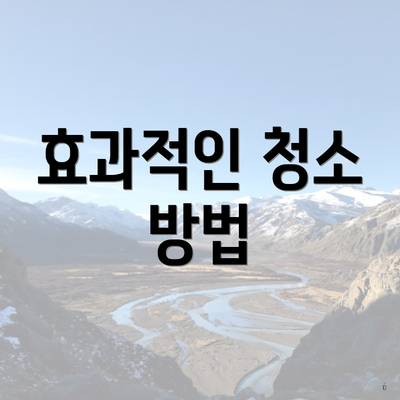 효과적인 청소 방법