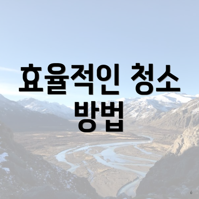 효율적인 청소 방법