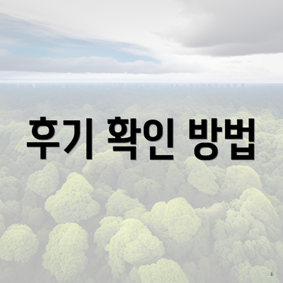 후기 확인 방법